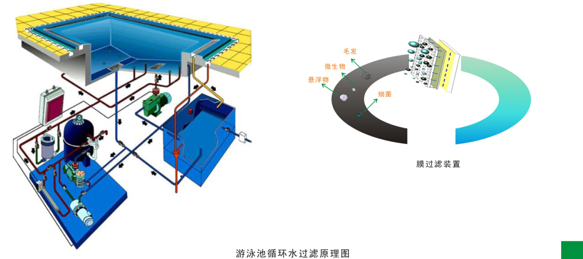 游泳池水循环净化处(chù)理工(gōng)程